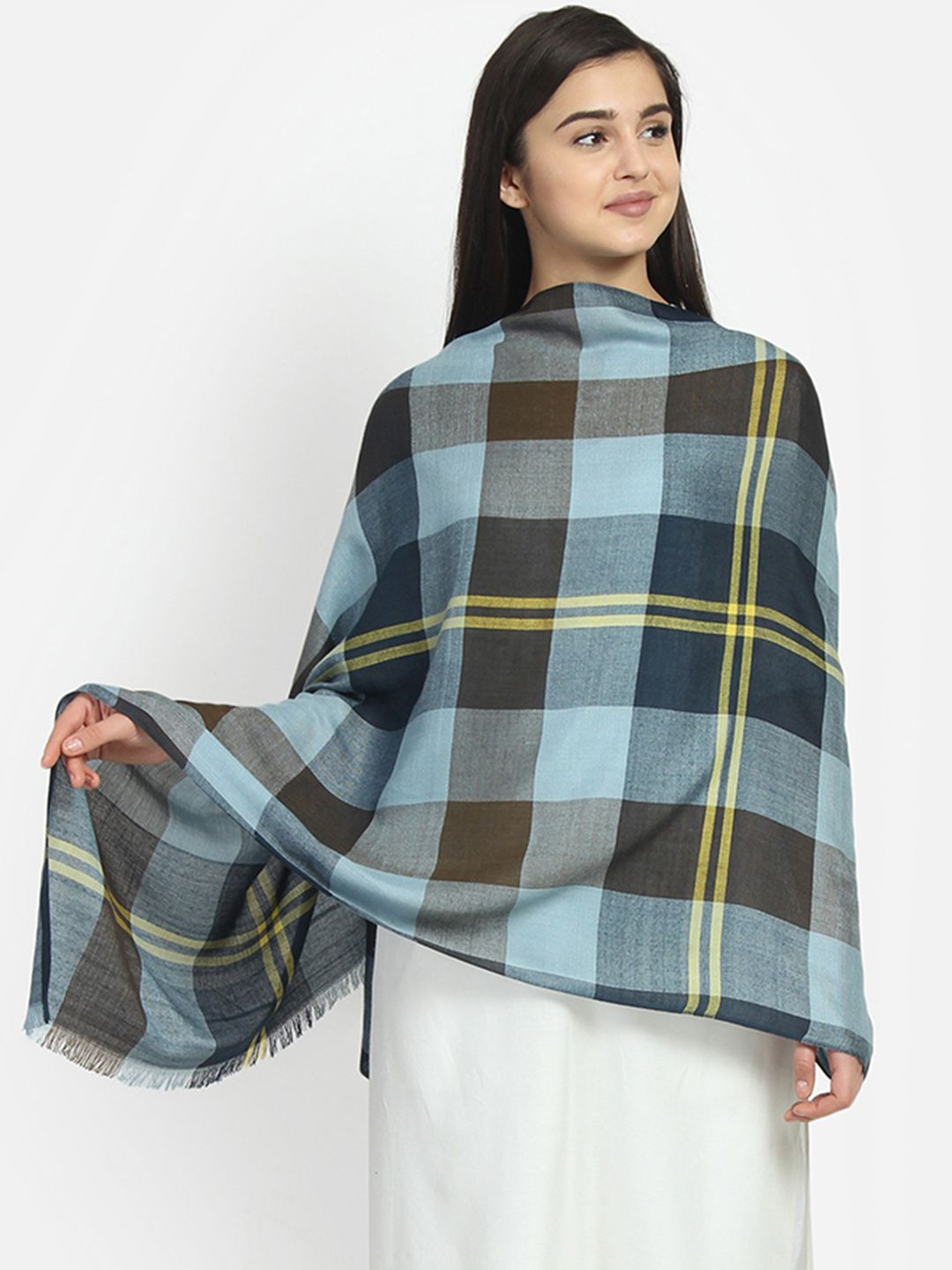 Anekaant Women Navy Blue & Brown Checked Stole Price in India
