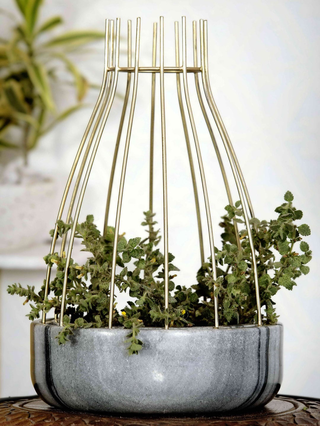 POSH-N-PLUSH Grey Marble With Gold-Toned Metal Web Planter Price in India