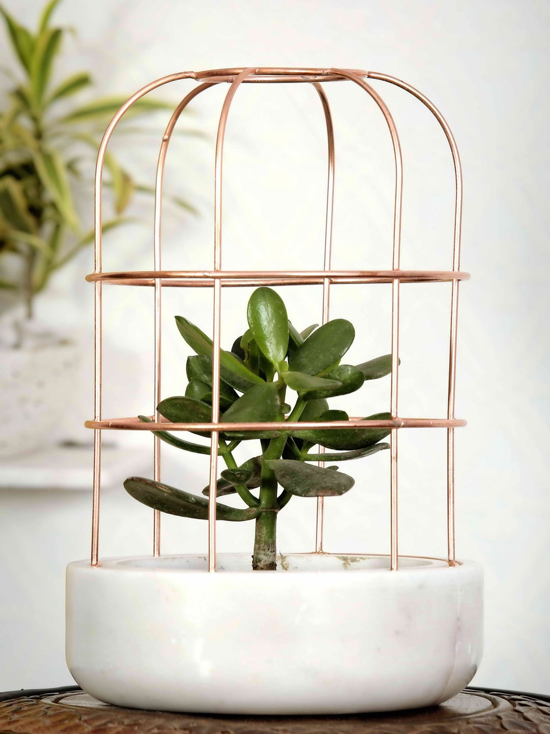POSH-N-PLUSH White Marble with Copper Metal Planter Price in India