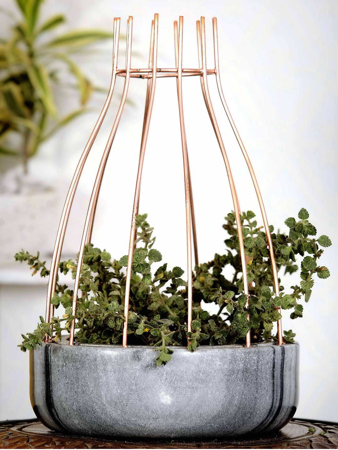 POSH-N-PLUSH Grey Marble With Copper Metal Planter Price in India