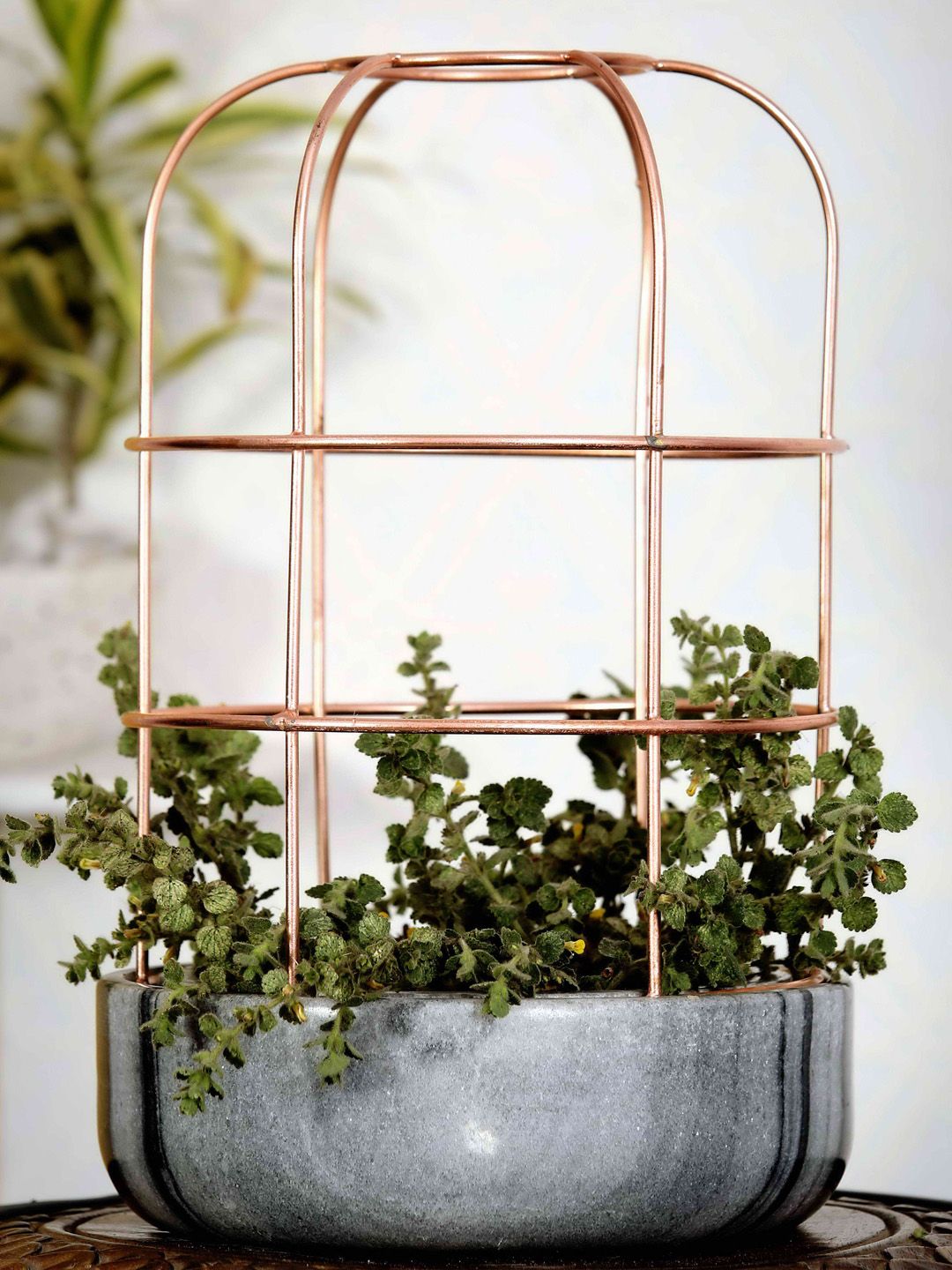 POSH-N-PLUSH Grey Marble With Copper Metal Planter Price in India