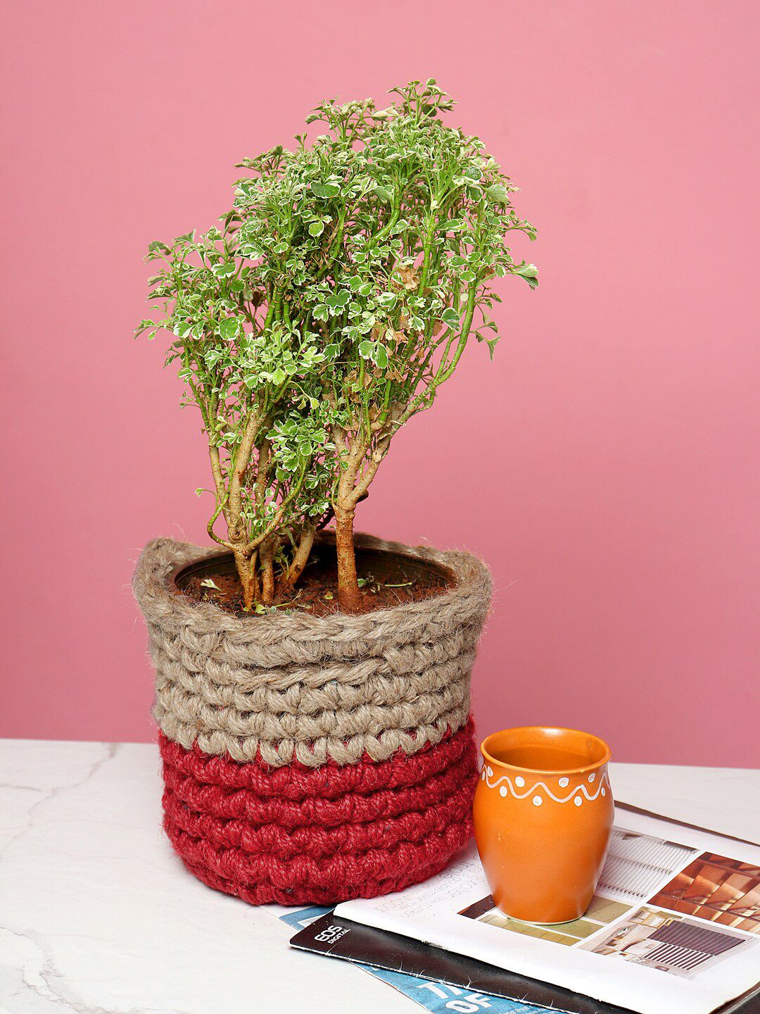 HABERE INDIA Red & Beige Crochet Handmade Sustainable Planter Price in India