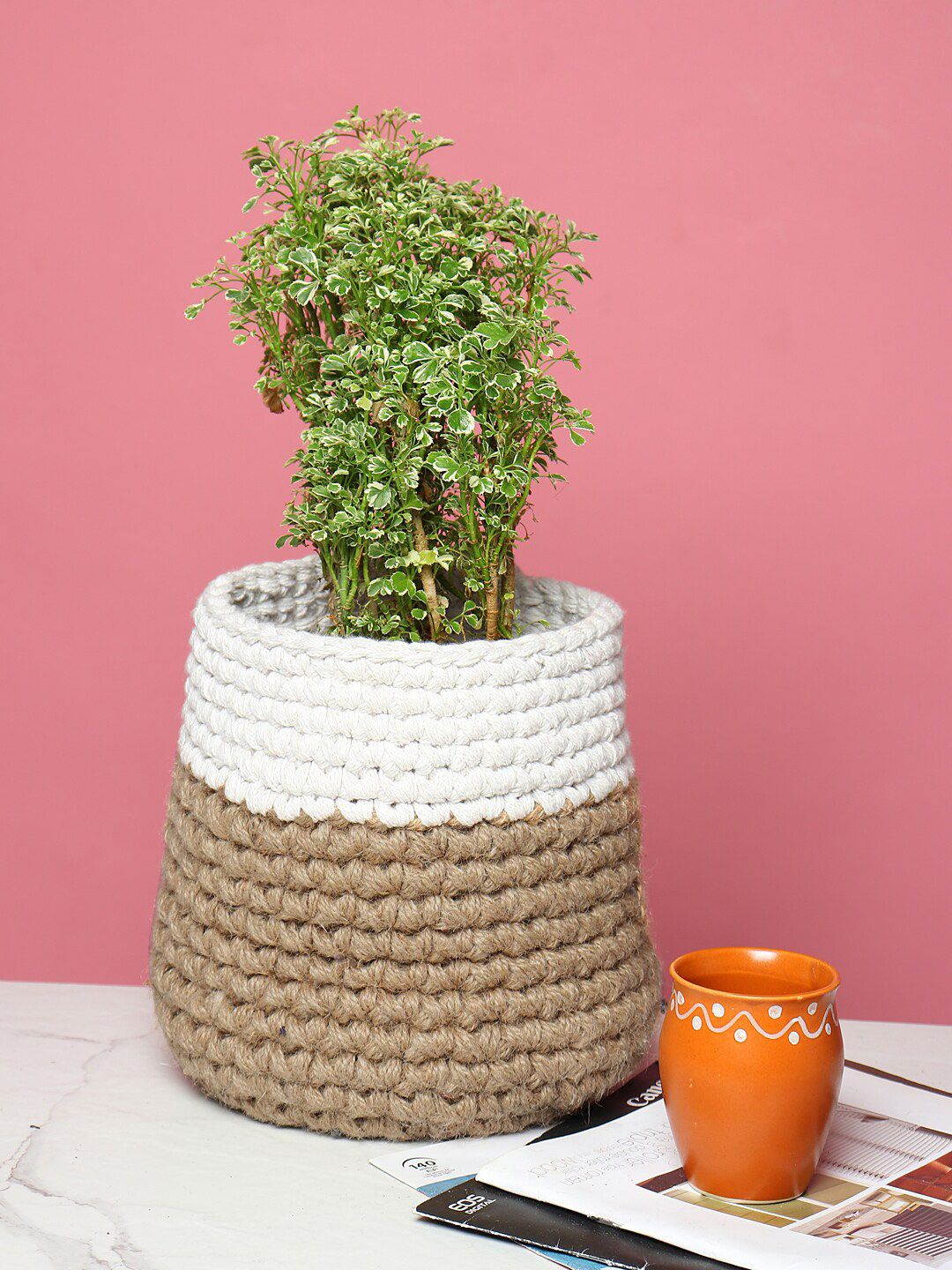 HABERE INDIA Beige & White Jute & Crochet Handmade Sustainable Indoor Planter Price in India