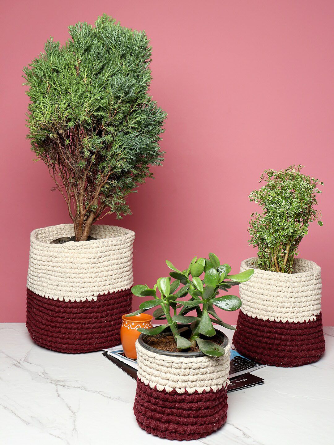 HABERE INDIA Set Of 3 Off-White & Burgundy Colourblocked Sustainable Planters Price in India