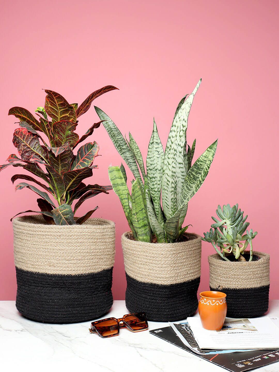 HABERE INDIA Set Of 3 Black & Beige Colourblocked Handwoven Sustainable Planters Price in India