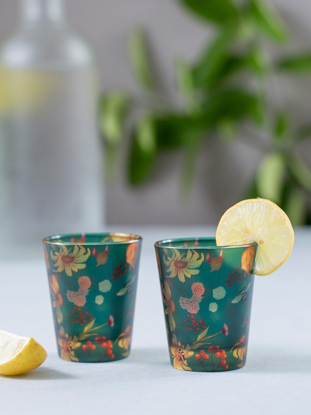 KOLOROBIA Set Of 2 Green & Yellow Floral Bliss Frosted Shot Glasses Price in India