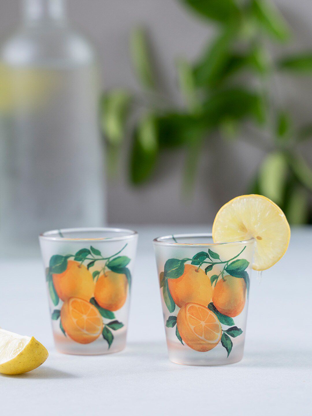 KOLOROBIA Set Of 2 Orange & Green Juicy Italian Oranges Frosted Shot Glasses Price in India