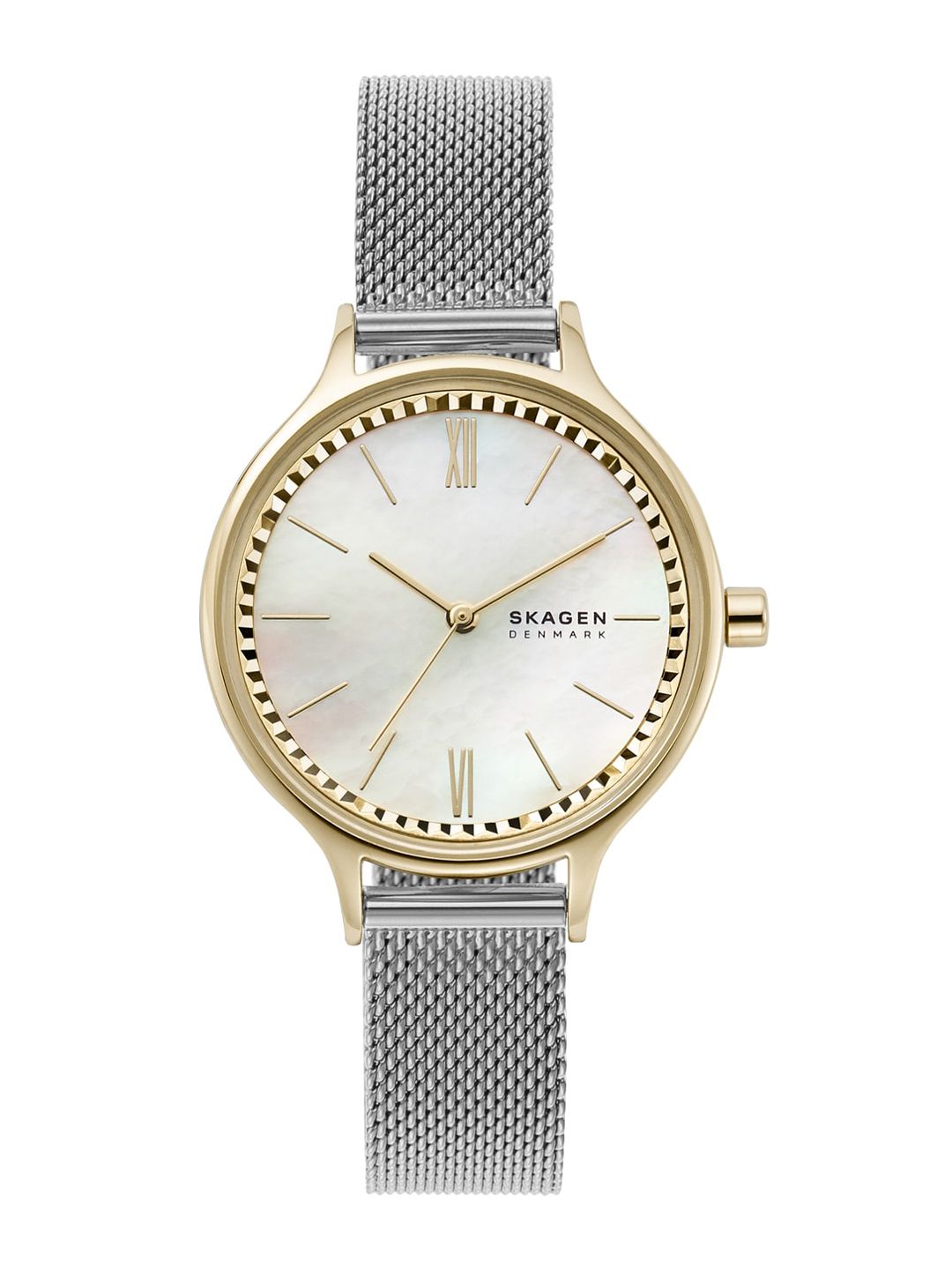 SKAGEN Women Silver-Toned Analogue Watch SKW2866 Price in India