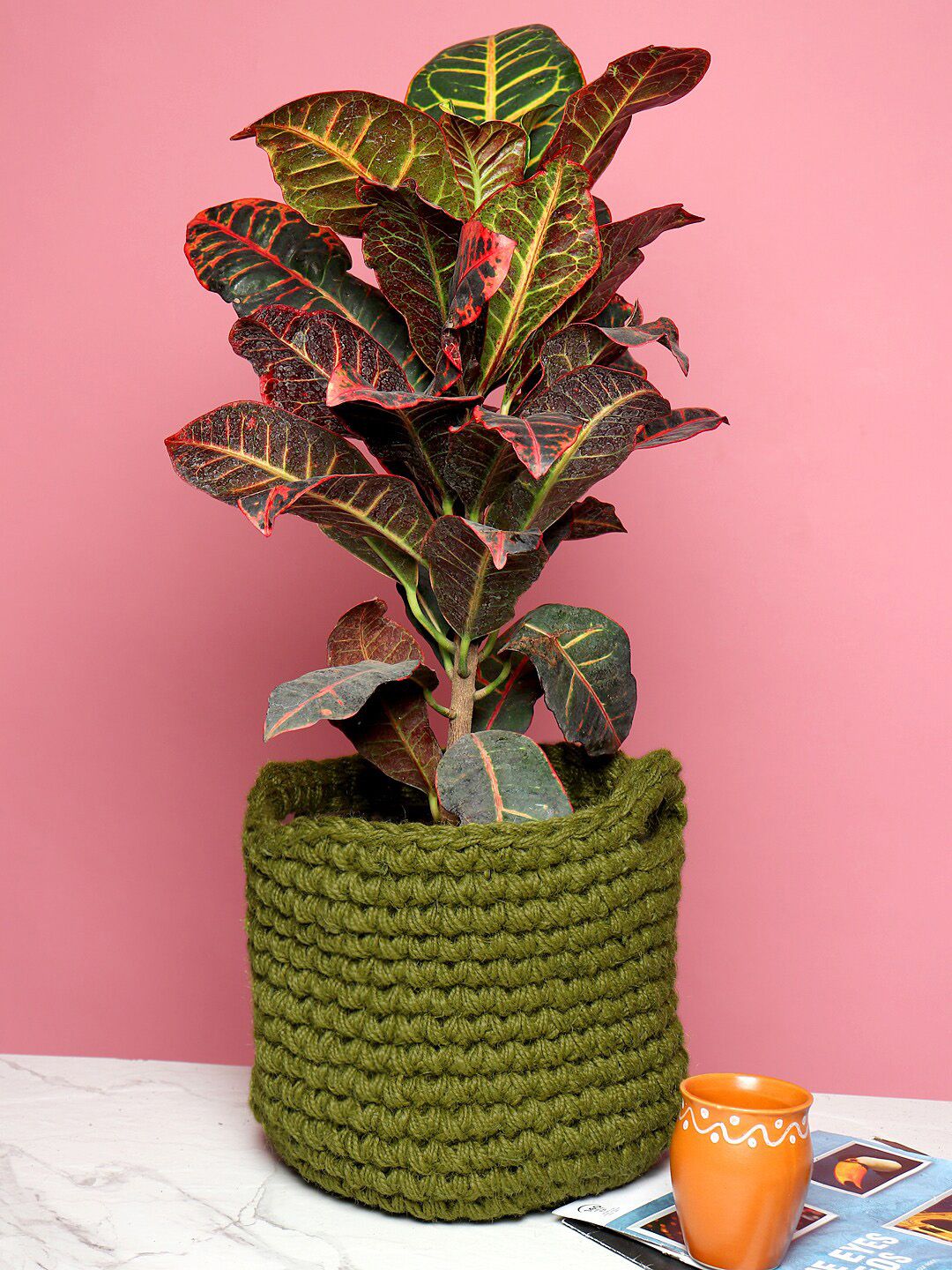 HABERE INDIA Olive-Green Jute Planter Price in India