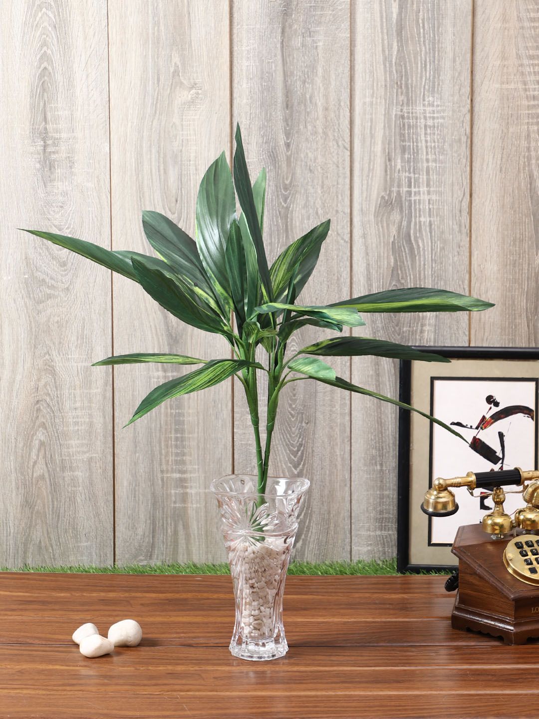 Pollination Green Set of 2 Artificial Dracaena Plant Price in India