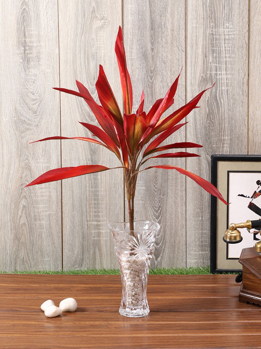 PolliNation Red Set of 2 Artificial Dracaena Plant Price in India