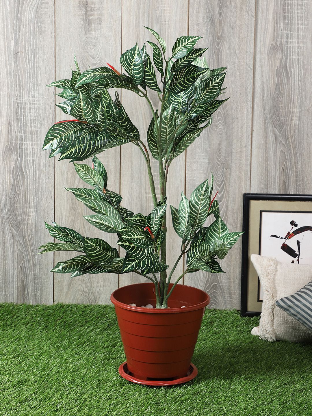 PolliNation Green  White Artificial Zebra Plant Without Pot Price in India
