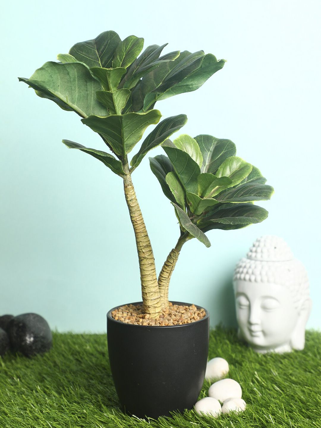 PolliNation Green & Black Decorative Artificial Fiddle Leaf Fig Bonsai with Ceramic Pot Price in India