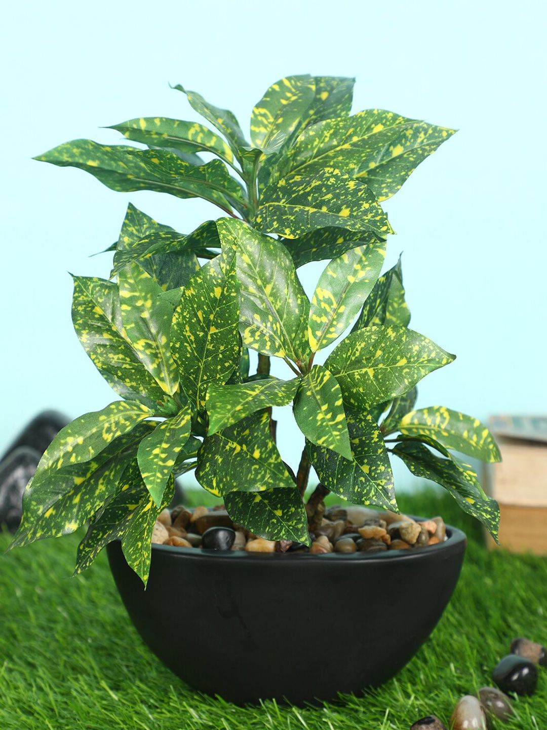 Pollination Green Artificial Croton Bonsai with Black Ceramic Pot Price in India