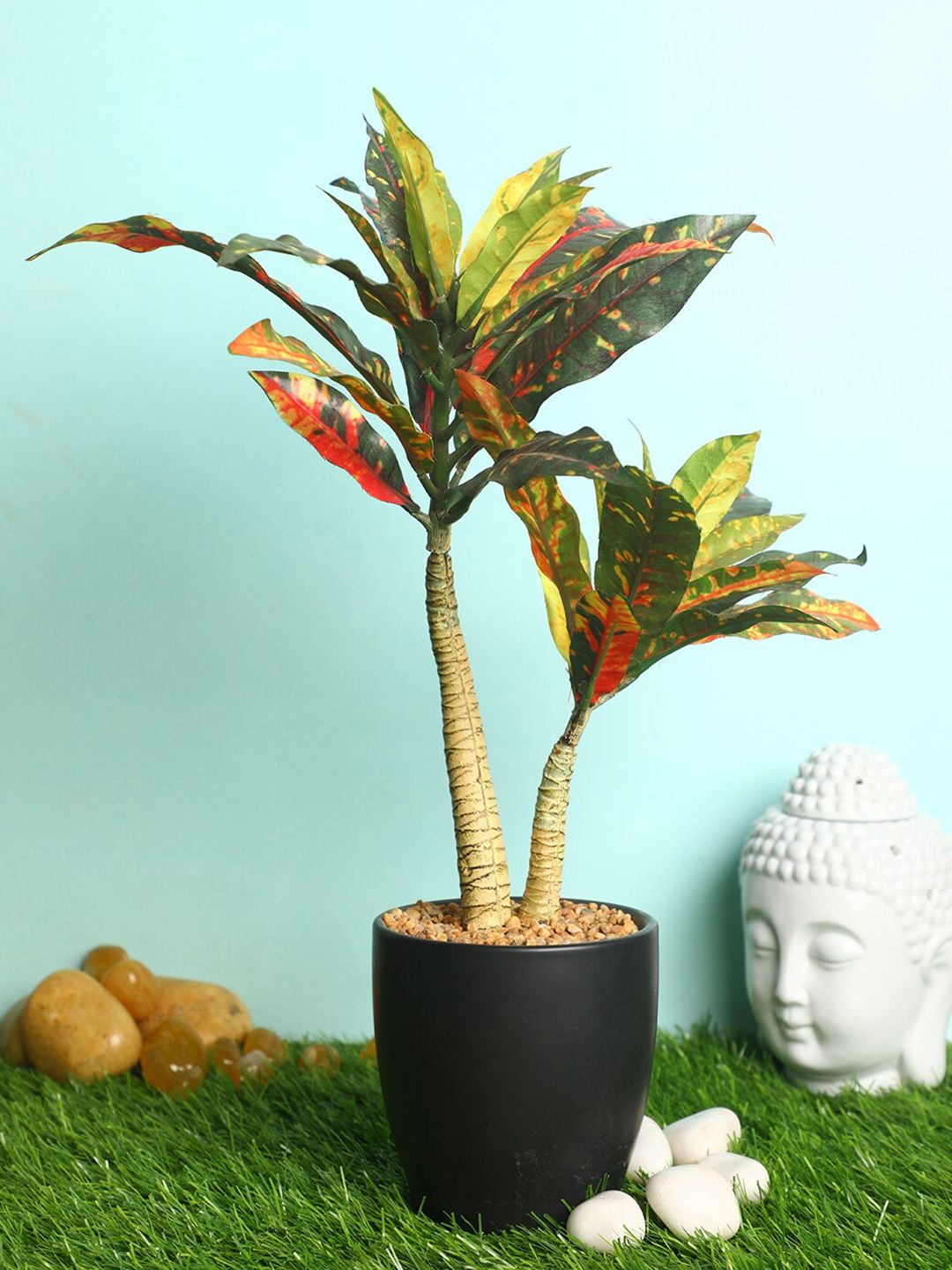 PolliNation Green & Black Decorative Artificial Croton Bonsai with Ceramic Pot Price in India