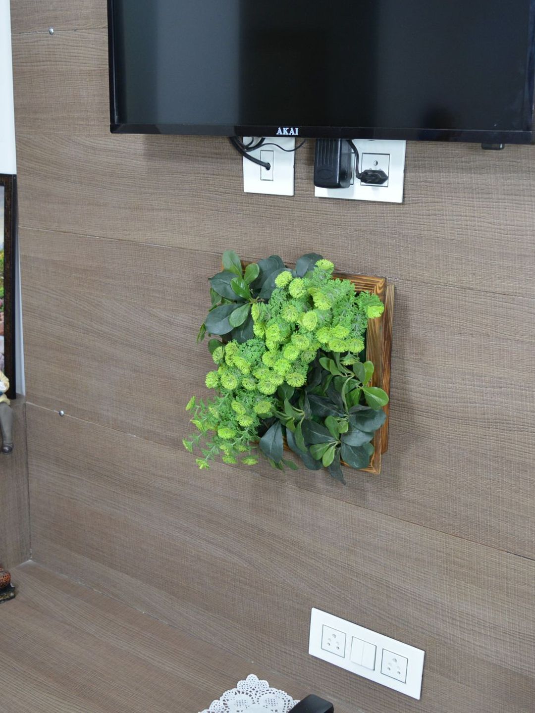 fancy mart Yellow & Green Coriander and Ficus Plant With Wall Hanging Panel Price in India