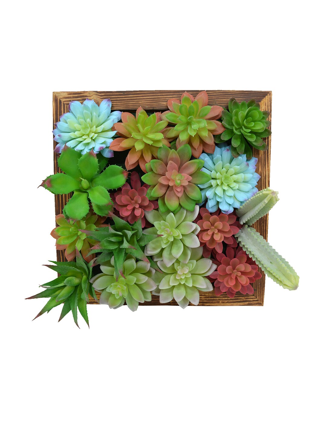 fancy mart Green & Red Artificial Succulents & Cactus Wall Hanging Panel Price in India