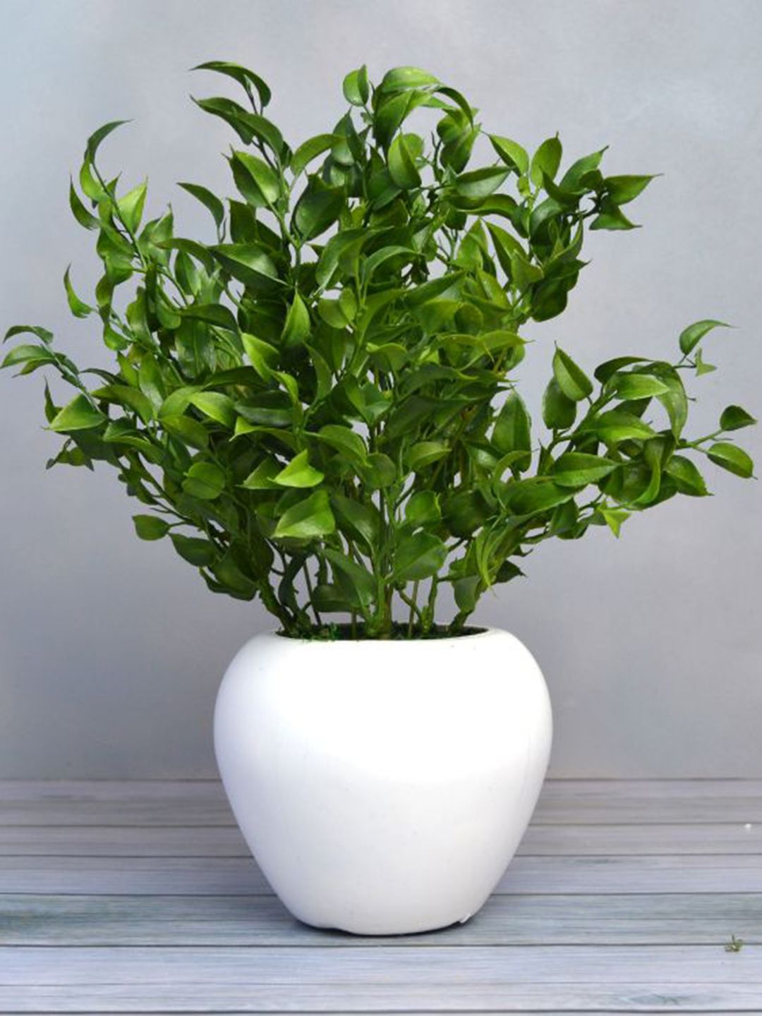 fancy mart Green & White Artificial Latex Plant In Apple Pot Price in India