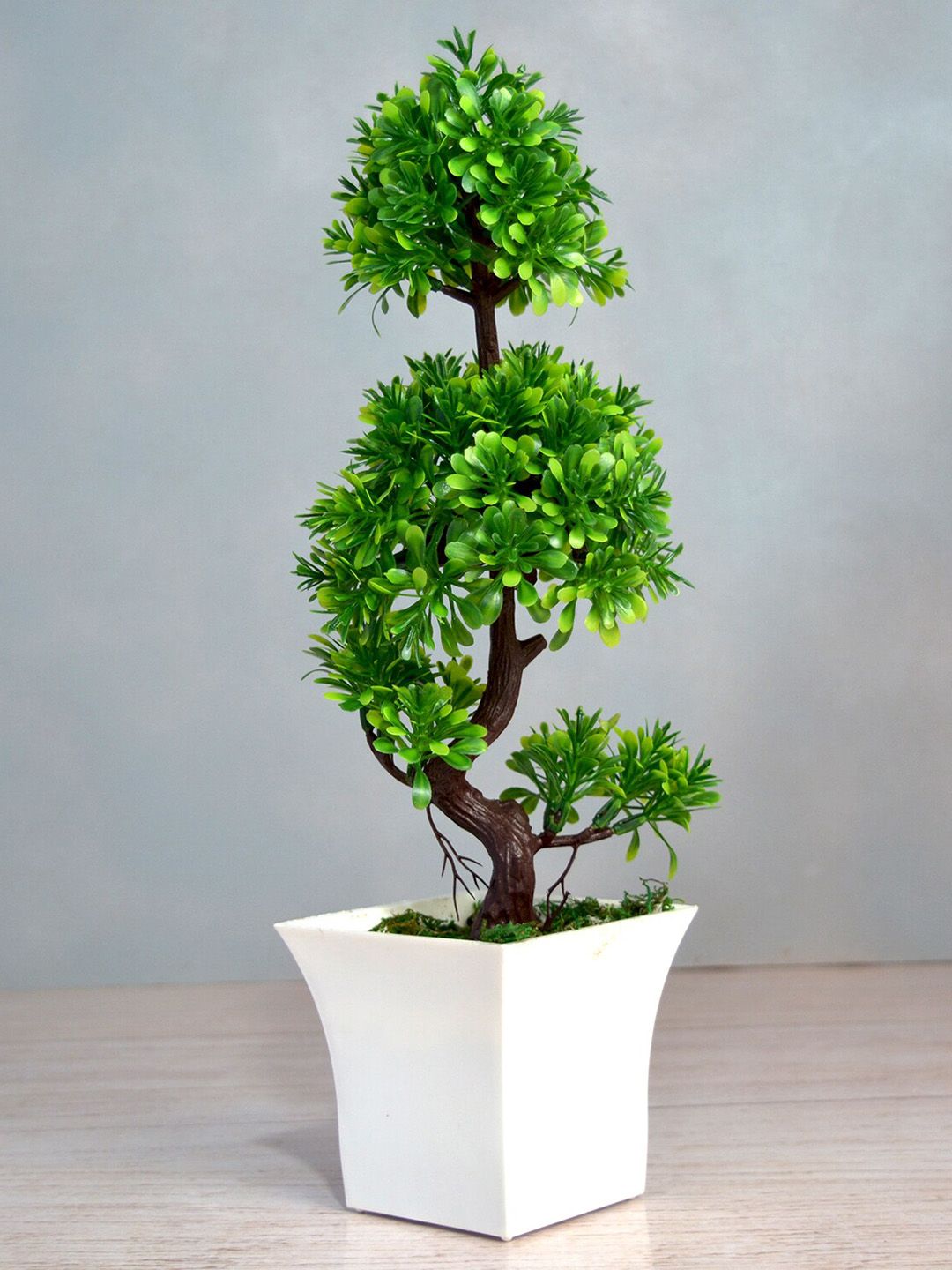 fancy mart Green Artificial Single Stem Plant With Ruby Pot Price in India