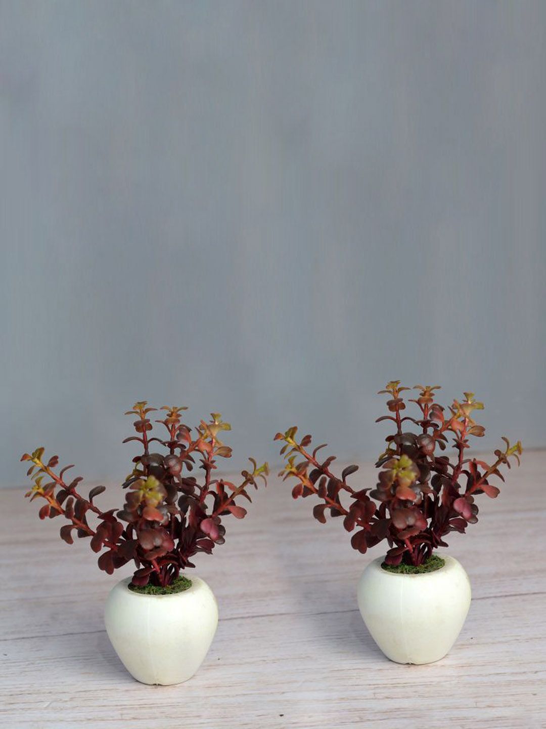 fancy mart Set Of 2 Brown & Green Artificial Jada Plants In Small Apple Pot Price in India