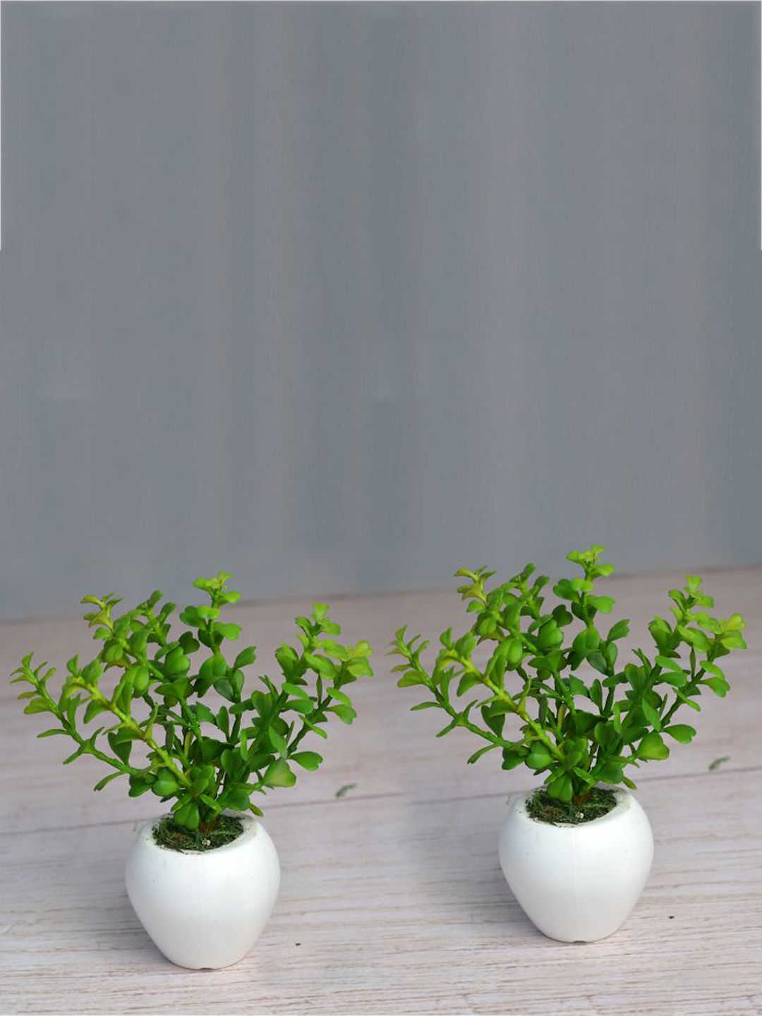 fancy mart Set Of 2 Artificial Jada Plant In Small Apple Pot Price in India