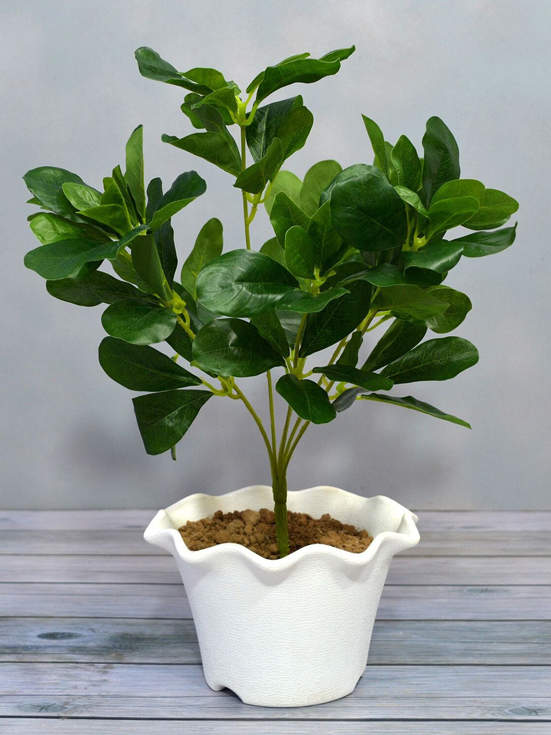 fancy mart Green Artificial Ficus Premium Bunch Price in India