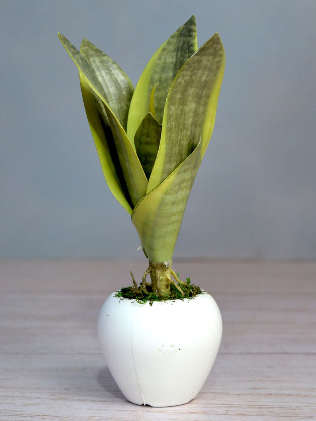 fancy mart Green Artificial Snake Plant in White Small Apple Pot Price in India