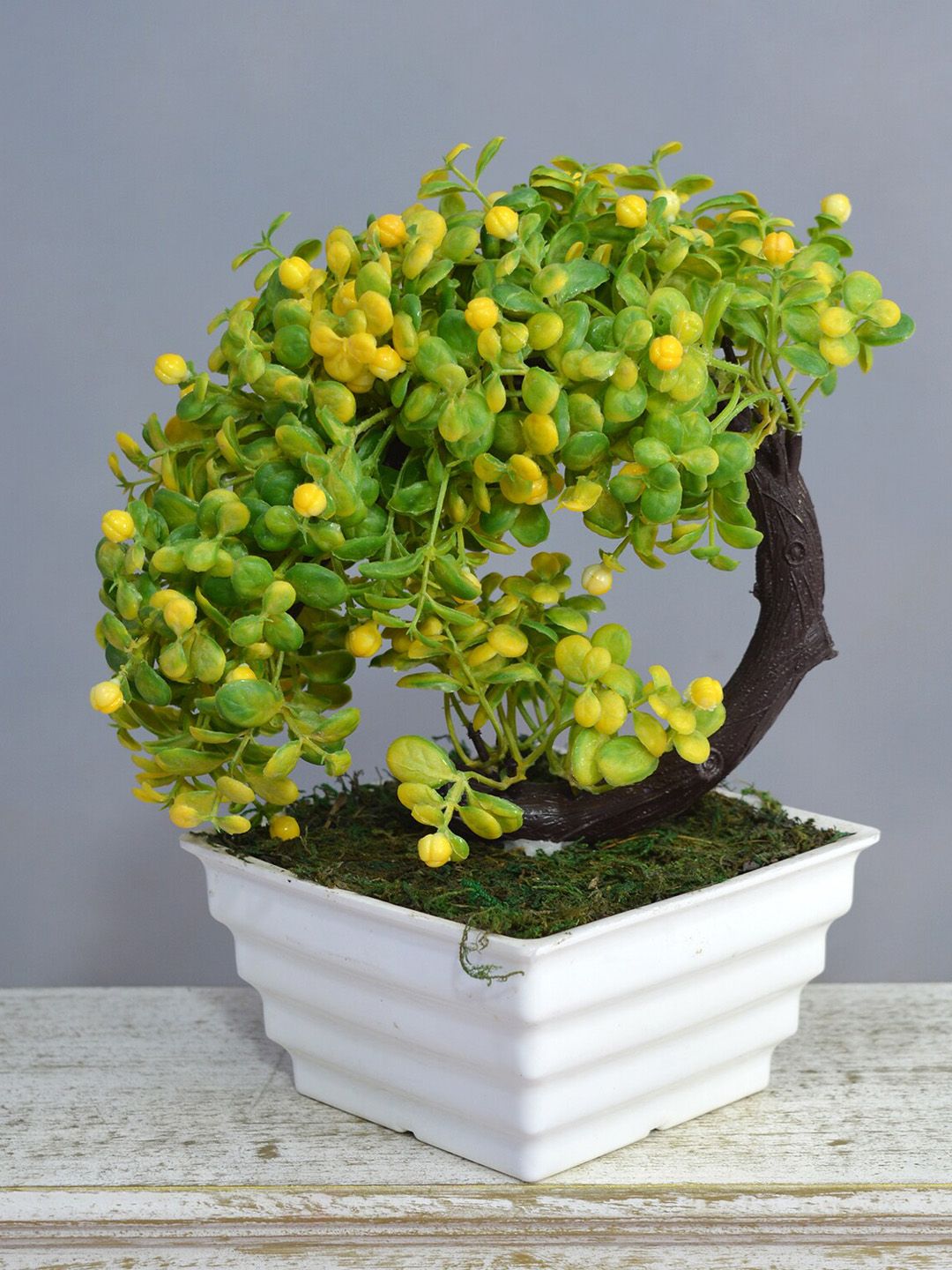 fancy mart Green & Yellow Artificial Bonsai Bend Tree In Topaz Pot Price in India
