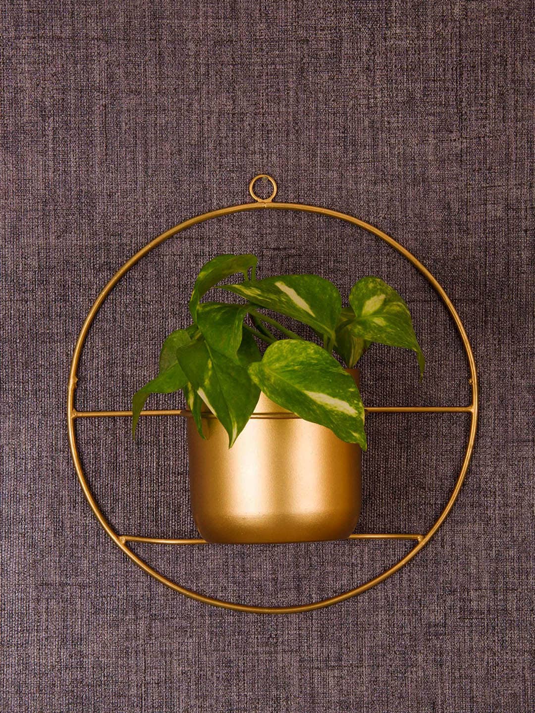 TIED RIBBONS Gold-Toned Solid Metal Wall Mounted Planter Price in India