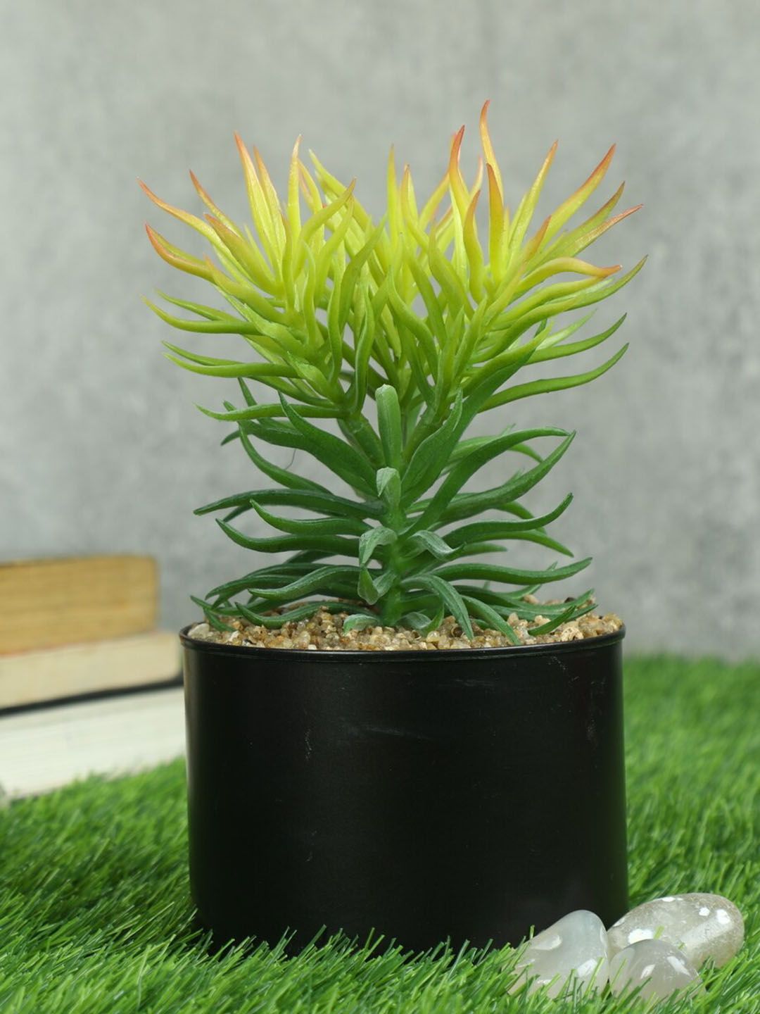 PolliNation Green & Black Artificial Succulent Plant With Pot Price in India