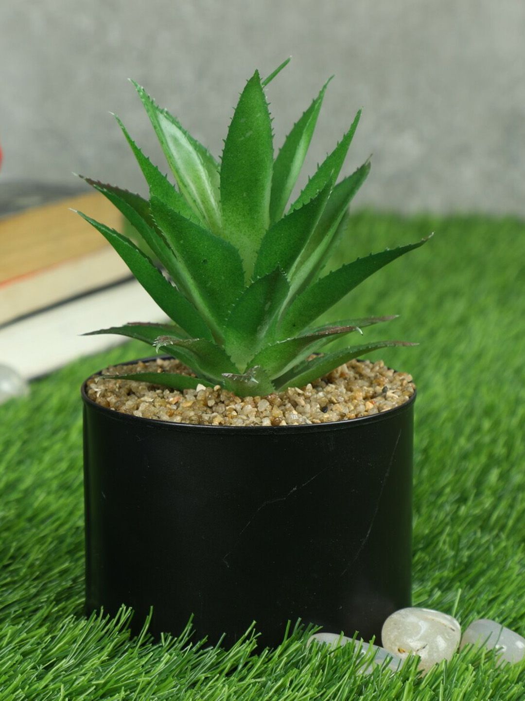 PolliNation Green & Black Artificial Succulent Bonsai Plant With Pot Price in India