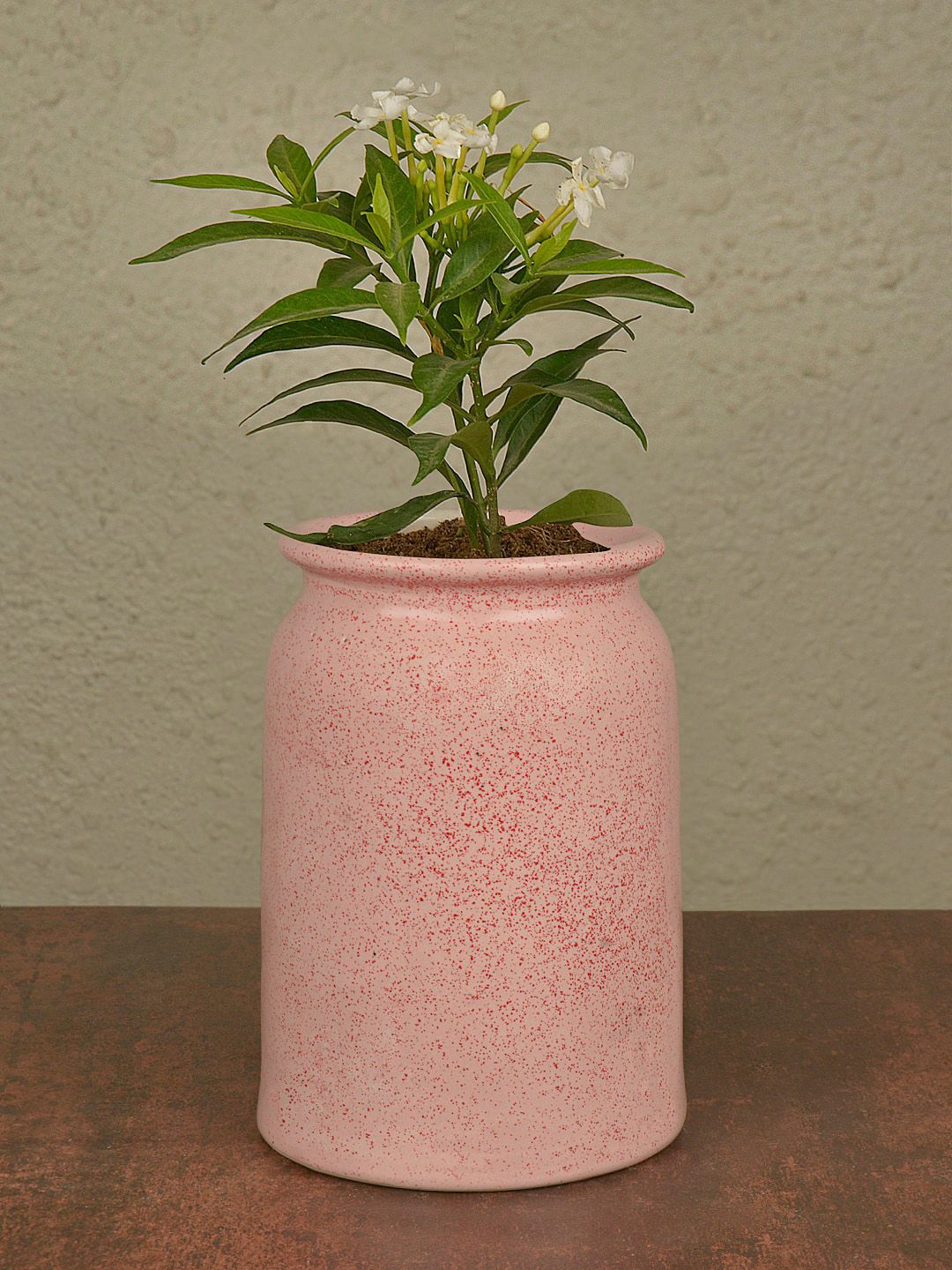 StyleMyWay Peach-Coloured Handcrafted Ceramic Planter Pot Price in India