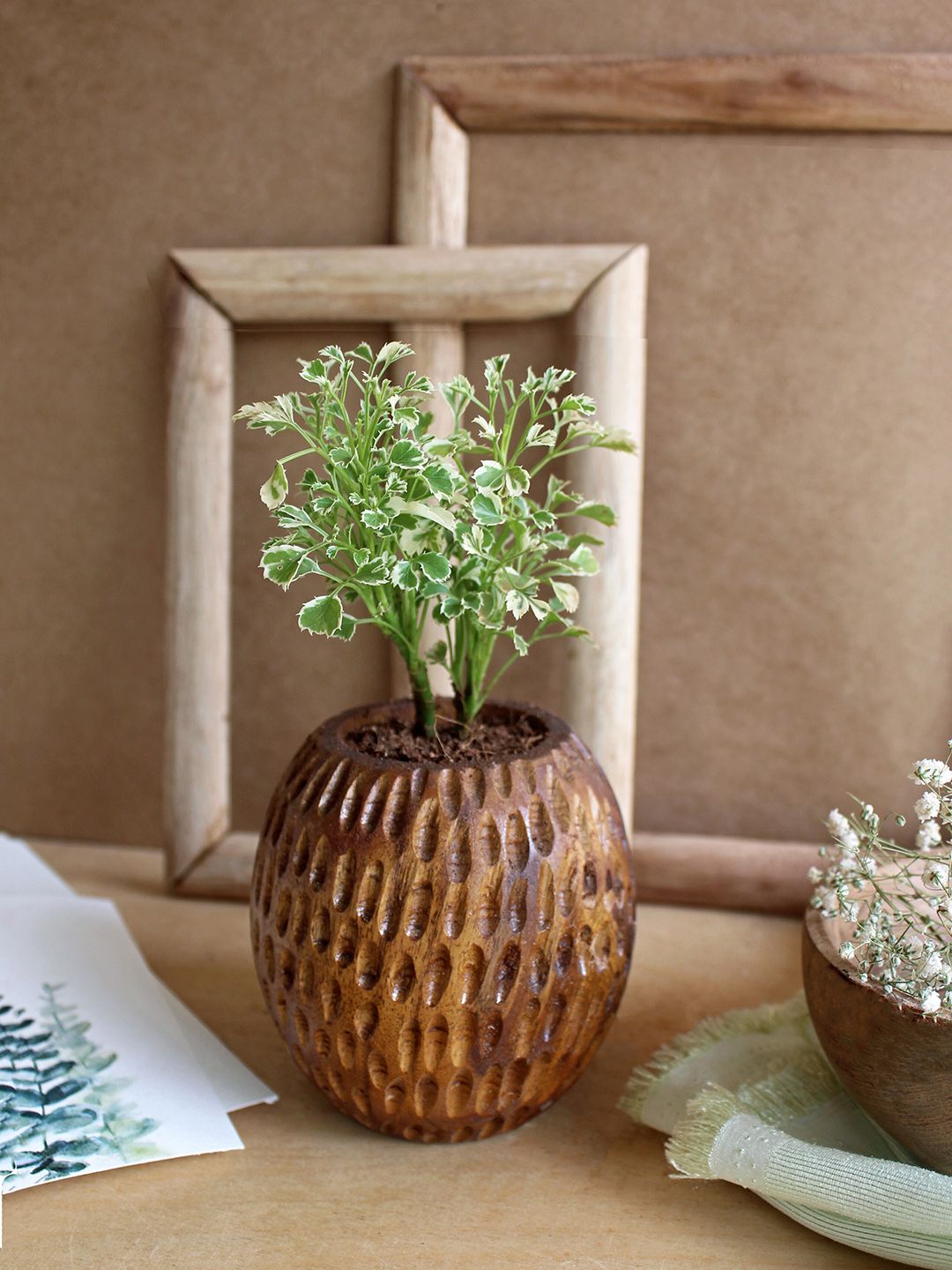 Studio Indigene Brown Carved Sustainable Spherical Wooden Planter Price in India