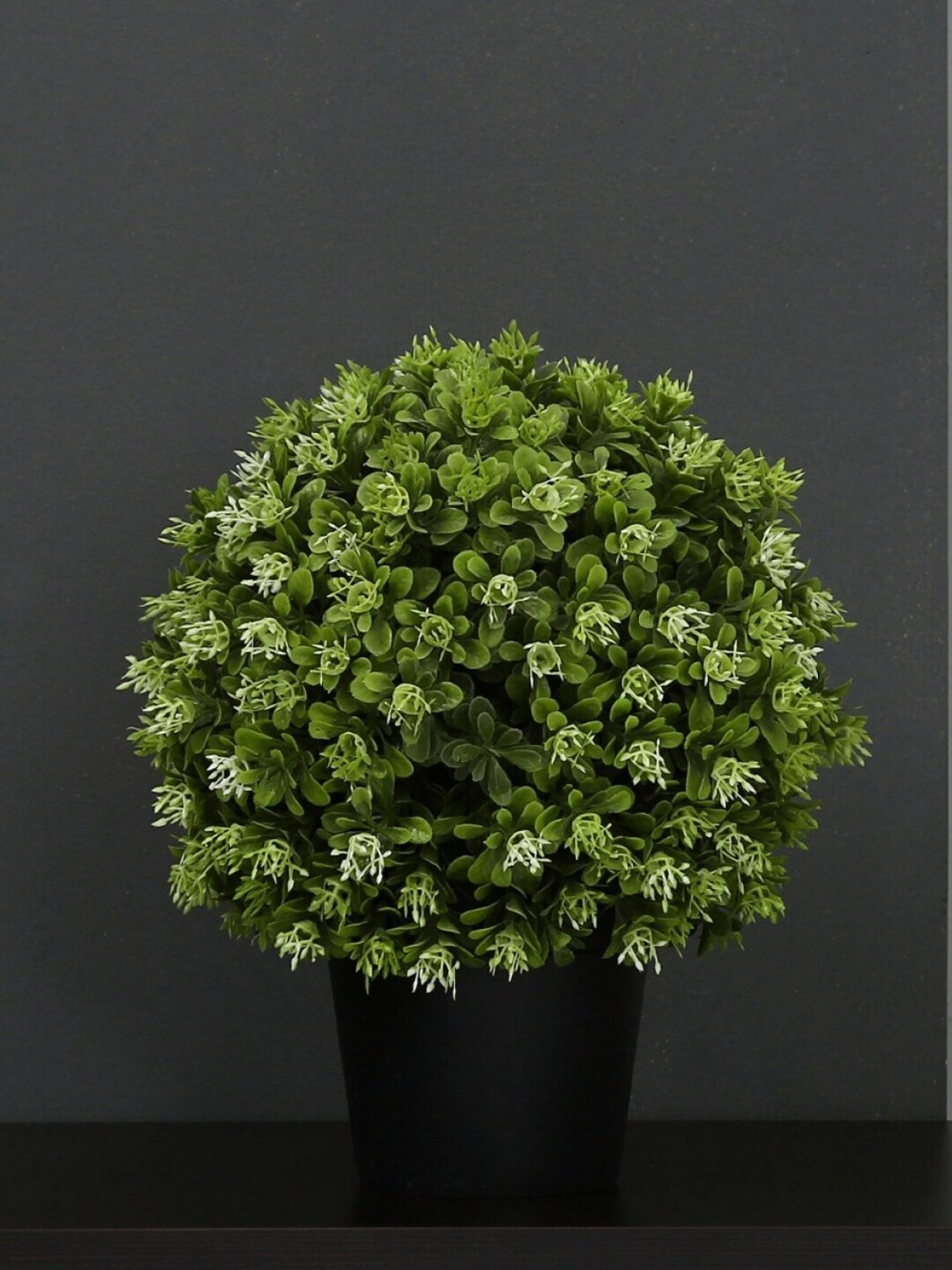 Home Centre Black & Green Artificial Bean Ball Plants with Plastic Pot Price in India