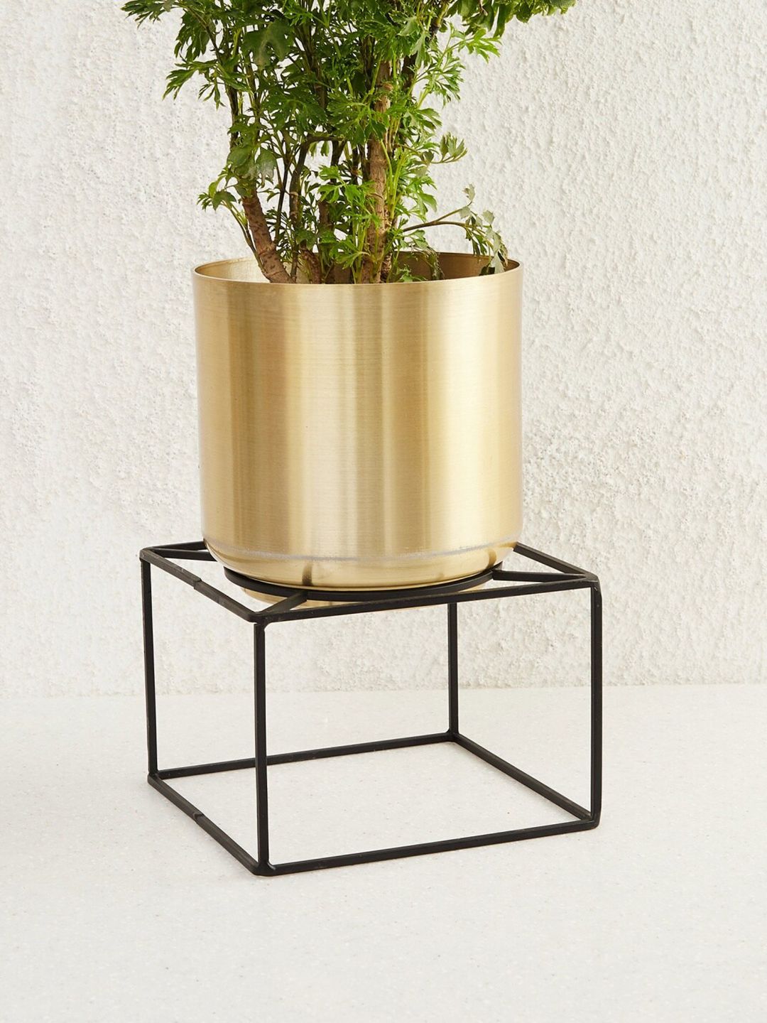 Home Centre Gold-Toned & Black Miraya Ayaka Metal Planter With Stand Price in India