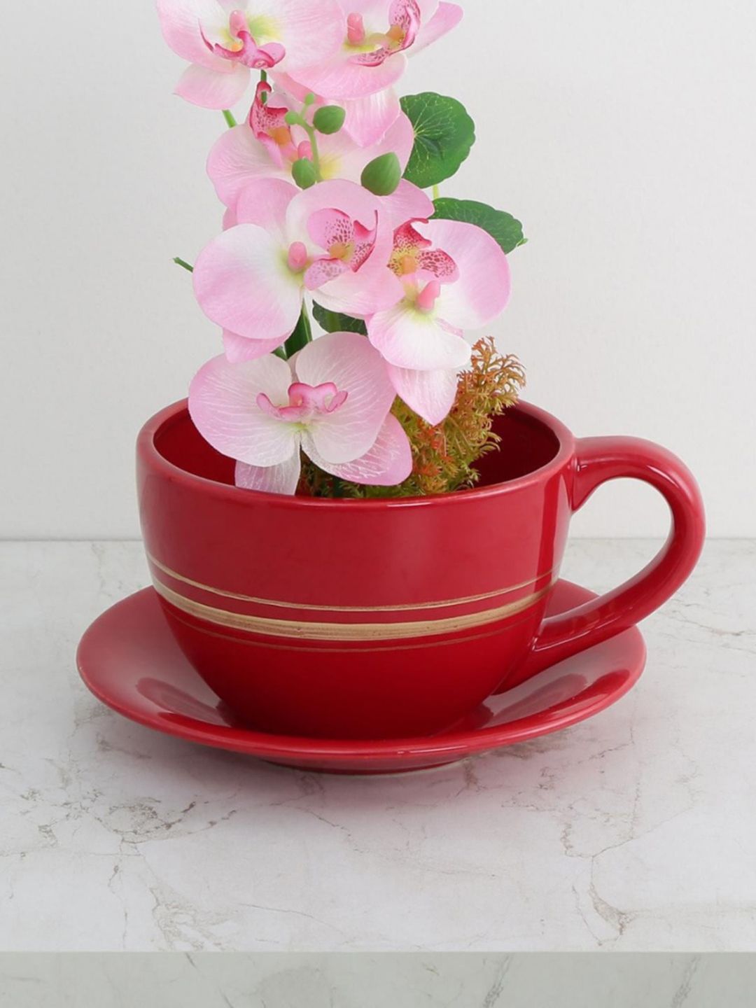 Homecentre Red Valencia Cup & Saucer Shaped Planter Price in India