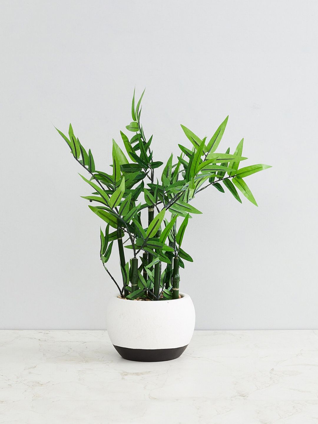 Homecentre Green Gardenia Artificial Bamboo Plant In Ceramic Pot Price in India