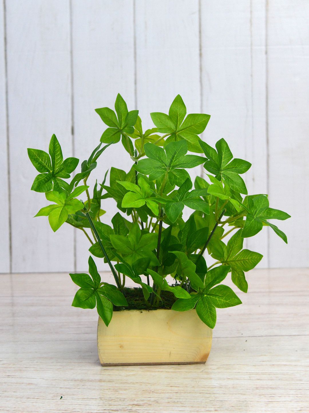 fancy mart Green & Cream-Coloured Artificial Mapple Plant leaves in Pot Price in India