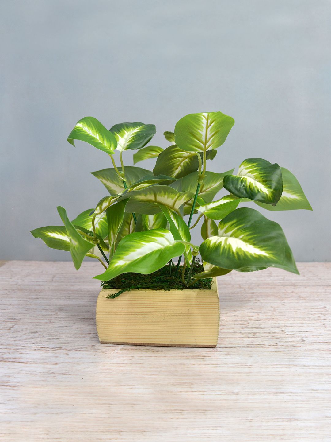 fancy mart Green & Brown Artificial Plant Leaves in Square Wood Pot Price in India