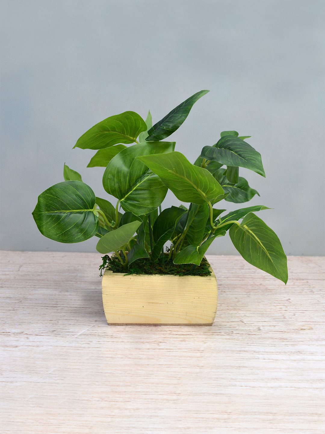 fancy mart Green & Beige Artificial Plant Leaves In Square Wood Pot Price in India