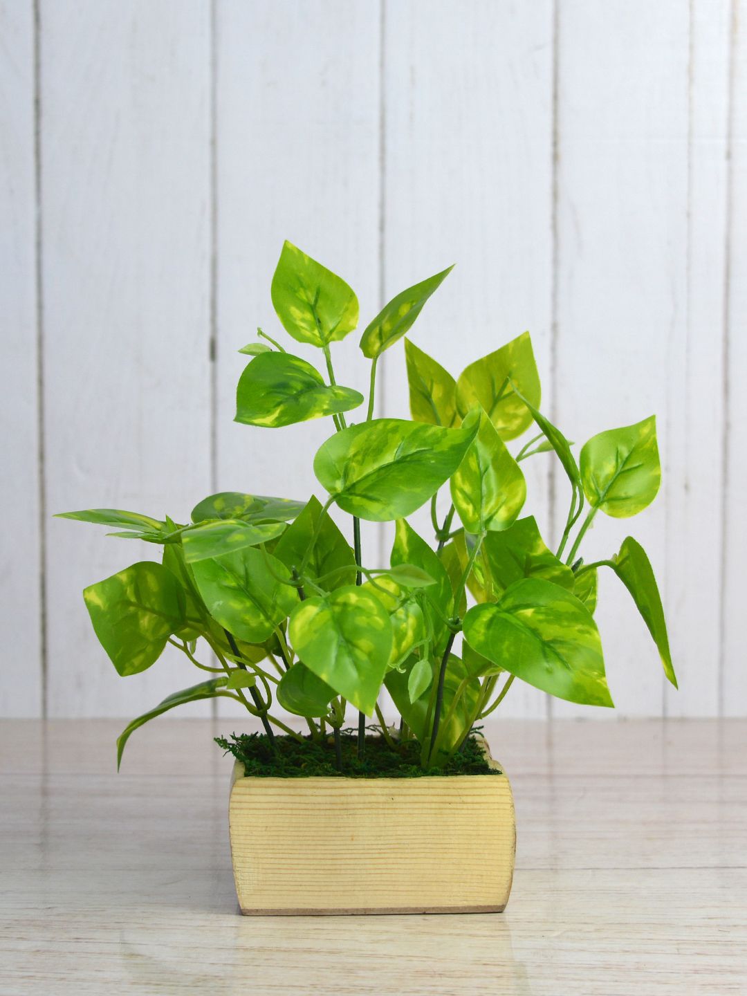 fancy mart Green & Beige Artificial Money Plant Leaves With Pot Price in India
