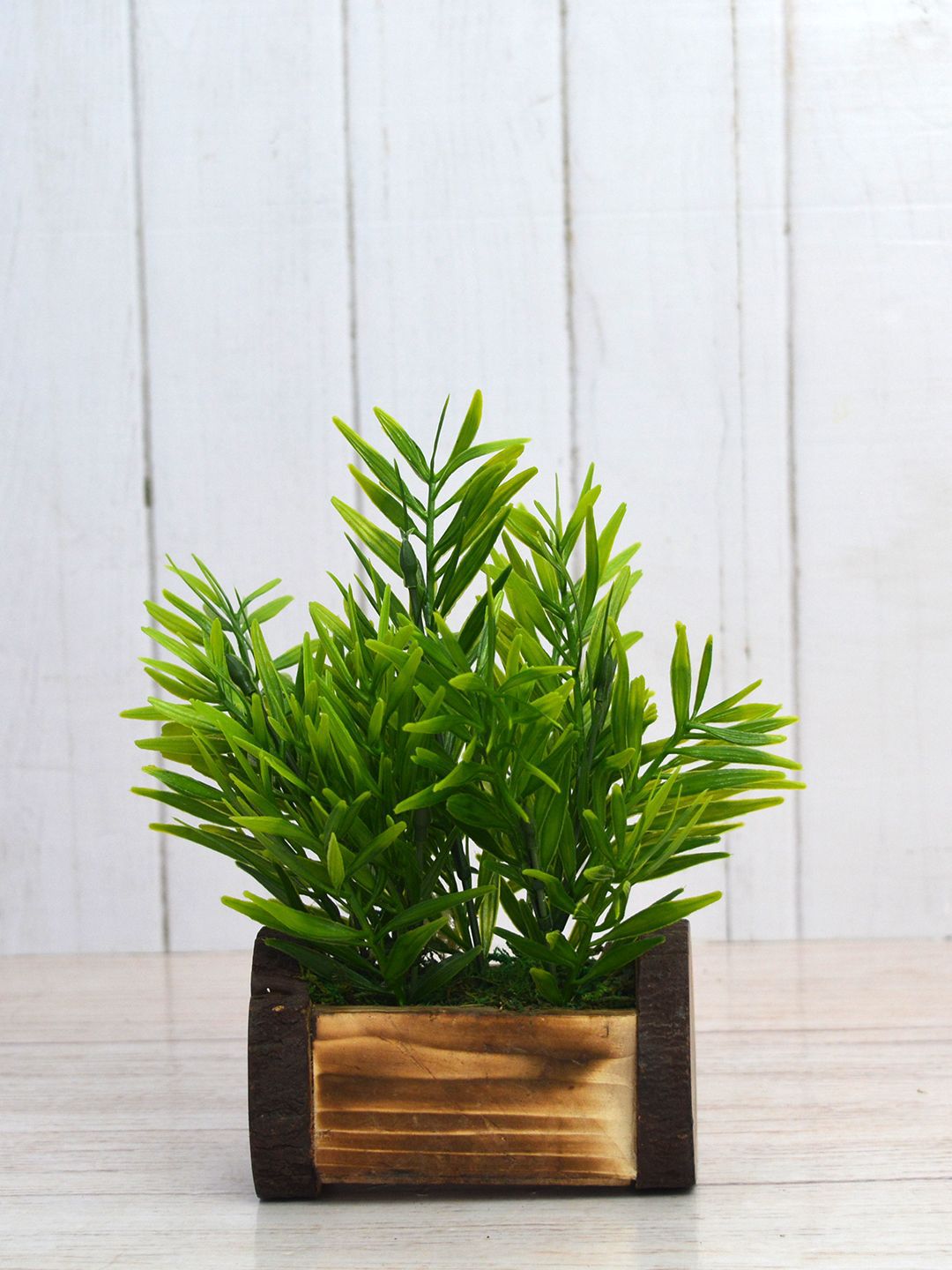 fancy mart Green & Brown Artificial Mini Bamboo Leaves In Buckle Pot Price in India