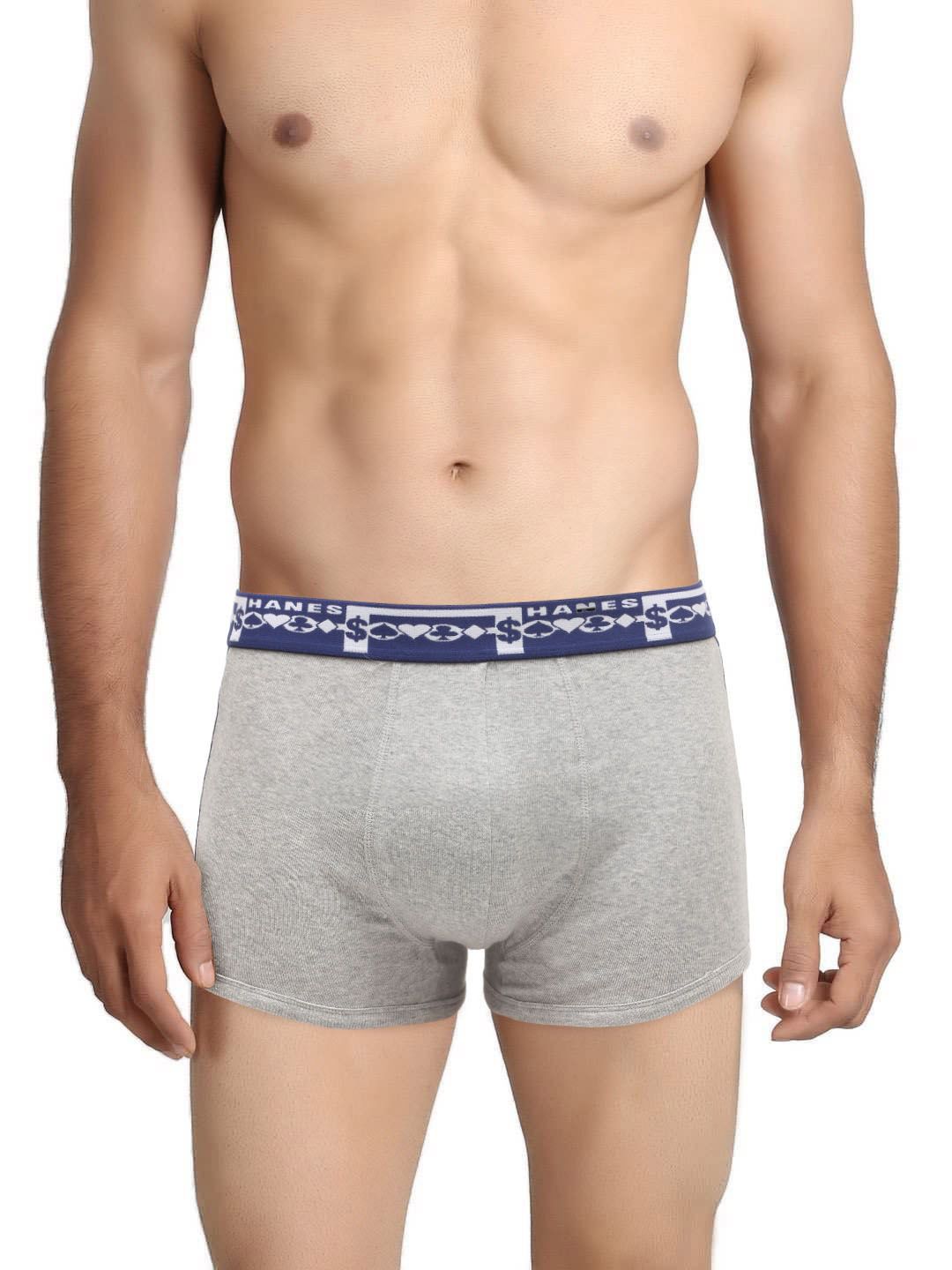 Hanes Men Bikini 79