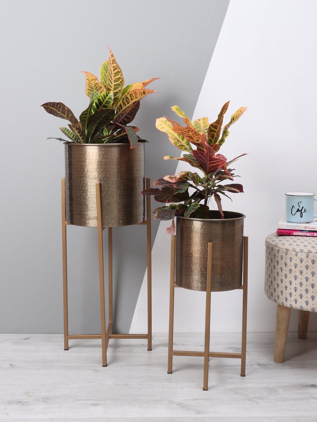 Aapno Rajasthan Set Of 2 Brown Antique Finish Hammered Brass Planters
Aapno Rajasthan Set Of 2 Brown Antique Finish Hammered Brass Planters