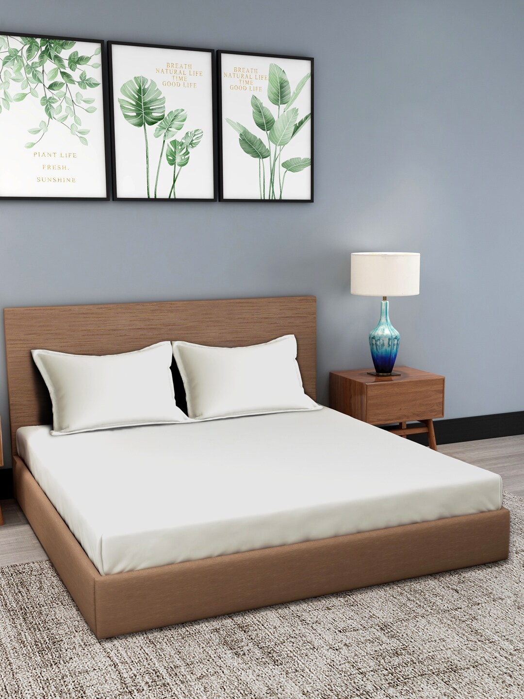 Trident Off White 300 TC King Bedsheet with 2 Pillow Covers