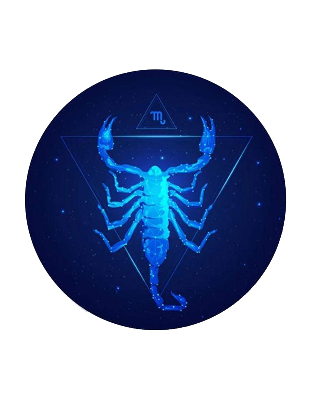 THE ARTMENT Multi Beyond The Bluest Skies Zodiac Canvases Scorpion Wall Art