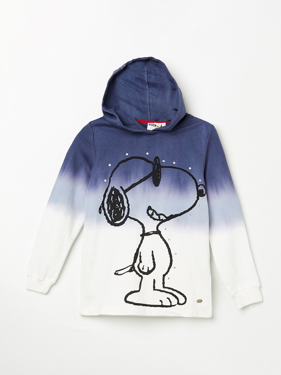 Denimize by Fame Forever Girls Blue Printed Hooded Sweatshirt
Denimize by Fame Forever Girls Blue Printed Hooded Sweatshirt