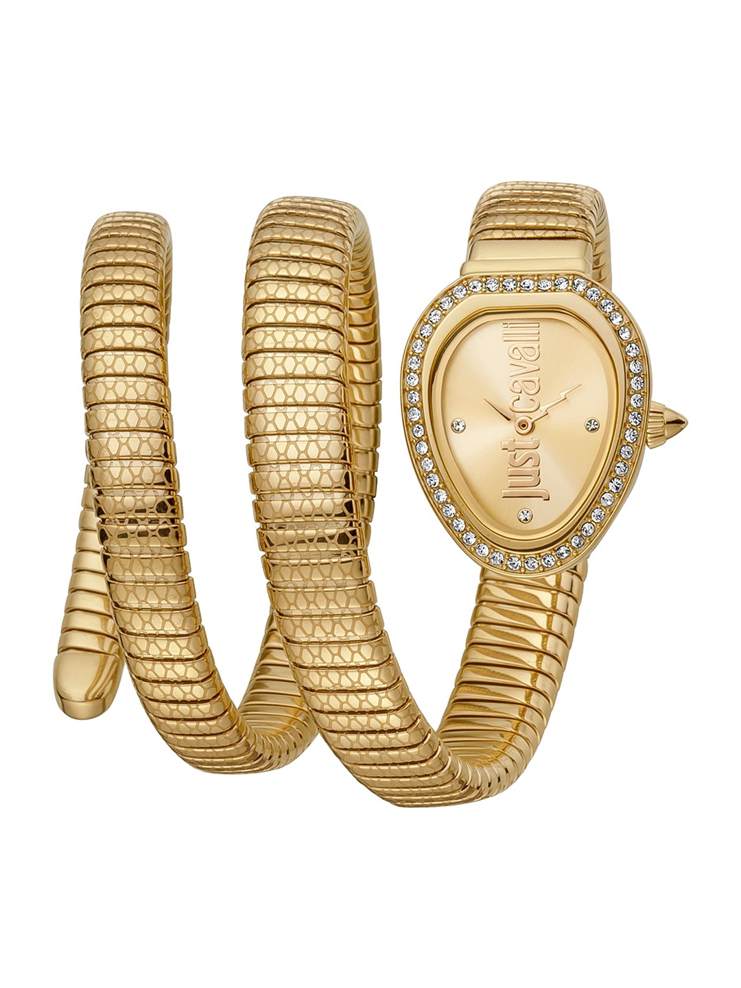 Just Cavalli Women Gold-Toned Embellished Dial Stainless Steel Analogue Watch JC1L163M0025
Just Cavalli Women Gold-Toned Embellished Dial Stainless Steel Analogue Watch JC1L163M0025