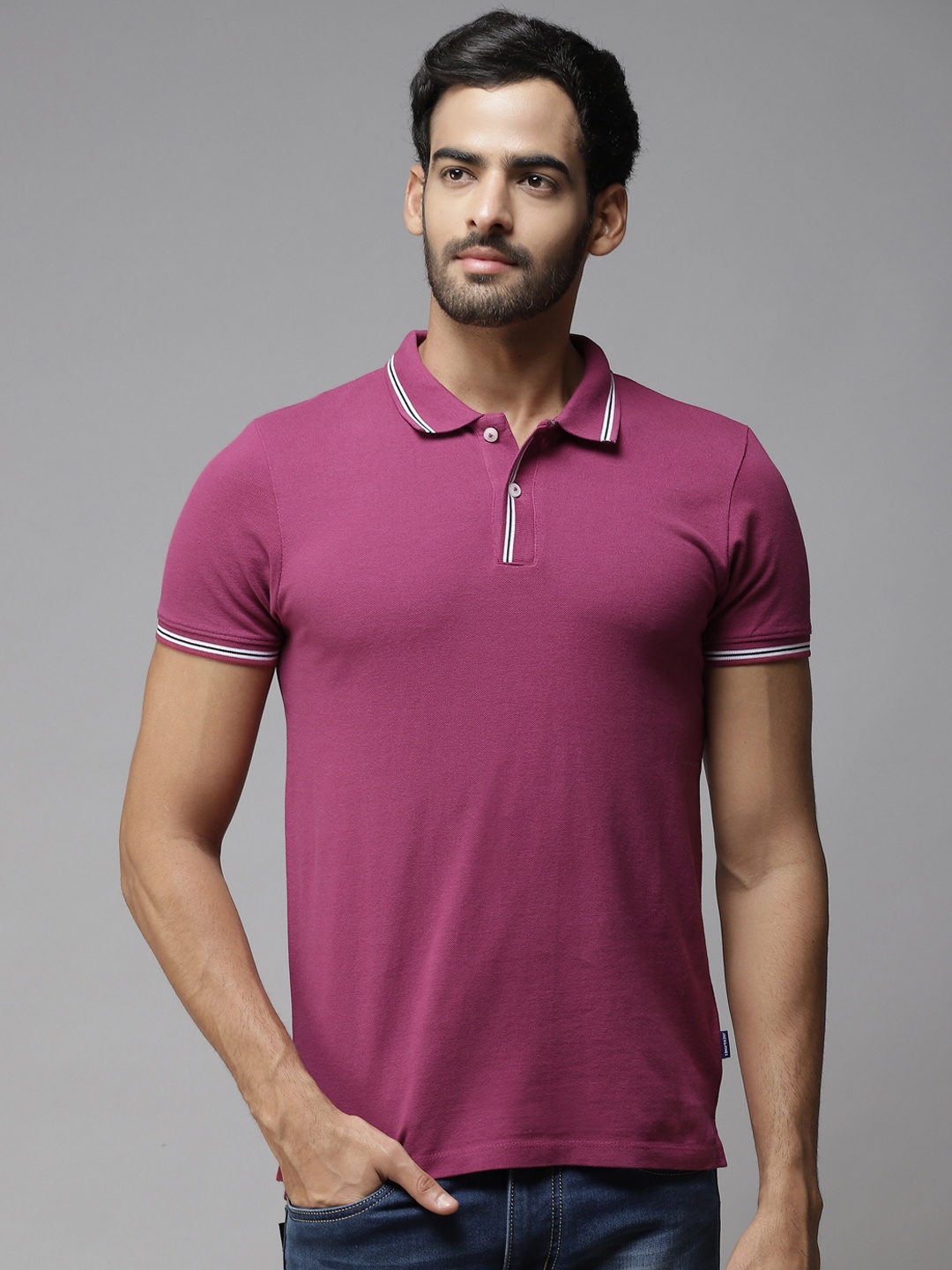 Jack & Jones Men Purple Solid Polo Collar Pure Cotton T-shirt