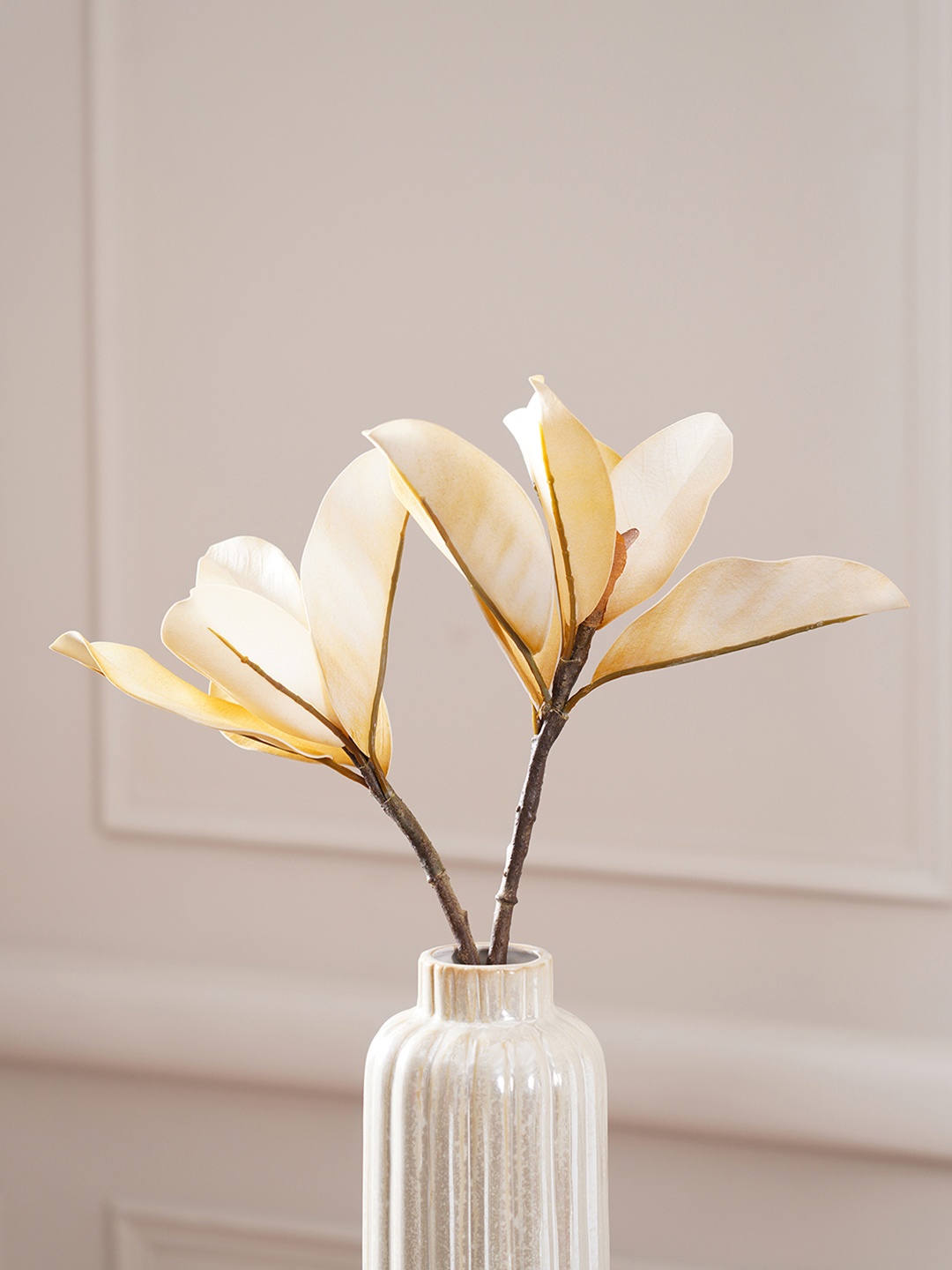 Pure Home and Living Solid Magnolia Leaf Spray White Artificial Flowers and Plants
Pure Home and Living Solid Magnolia Leaf Spray White Artificial Flowers and Plants